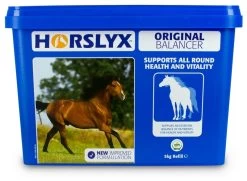 Horslyx Horslyx Mint Balancer 5kg