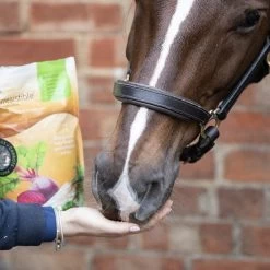 Equilibrium Simply Irresistible Fruit 1,5kg -Equestrian Supplies Online Shop 508001107000W 2 508001107