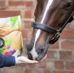 Equilibrium Simply Irresistible Veggie 1,5kg -Equestrian Supplies Online Shop 508001108000W 2 508001108