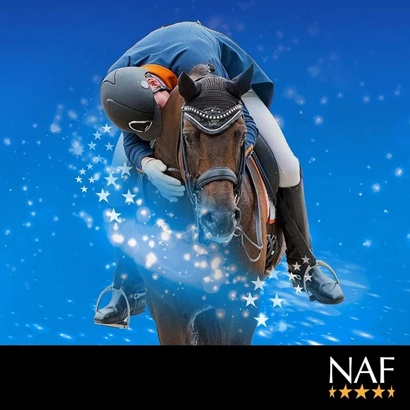 NAF Instant Magic Injector 2 NAF Instant Magic Injector - Image 2