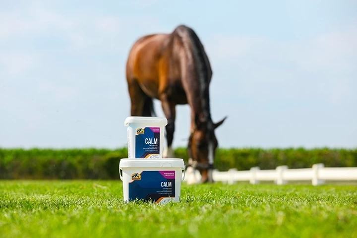 Cavalor Calm 2kg 2 Cavalor Calm 2kg - Image 2