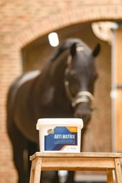 Cavalor Arti Matrix 2kg -Equestrian Supplies Online Shop 512701018000W 3 512701018