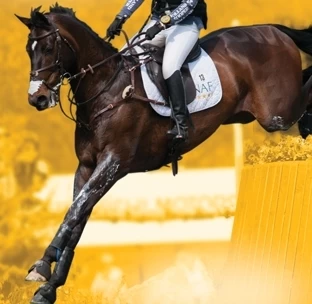 NAF Vitamine E And Selenium Plus 1kg 2 NAF Vitamine E And Selenium Plus 1kg - Image 2