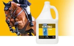 NAF Electro Lytes 4L 6 NAF Electro Lytes 4L -Equestrian Supplies Online Shop 513001100000W 3 513001100