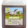 VITALstyle Lijnzaadolie 5L Paard
