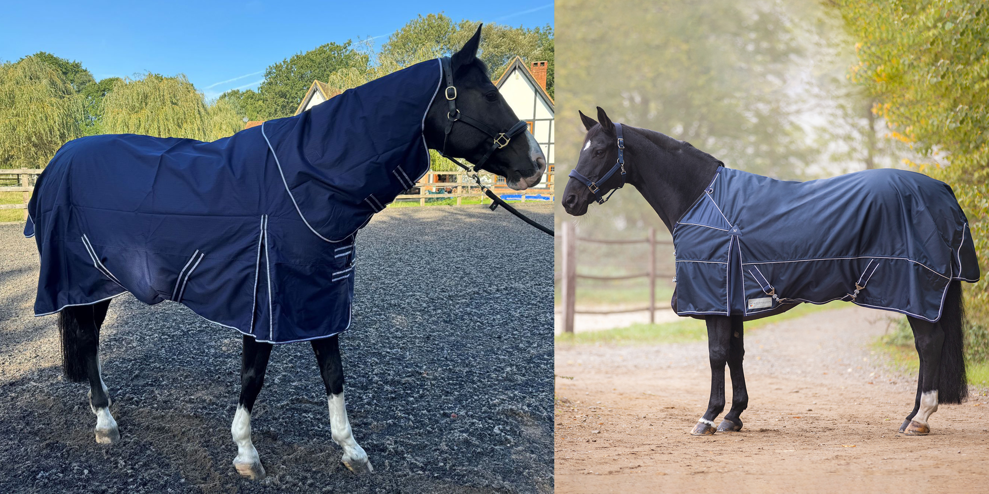 Equestrian Supplies Online Shop -Equestrian Supplies Online Shop 7