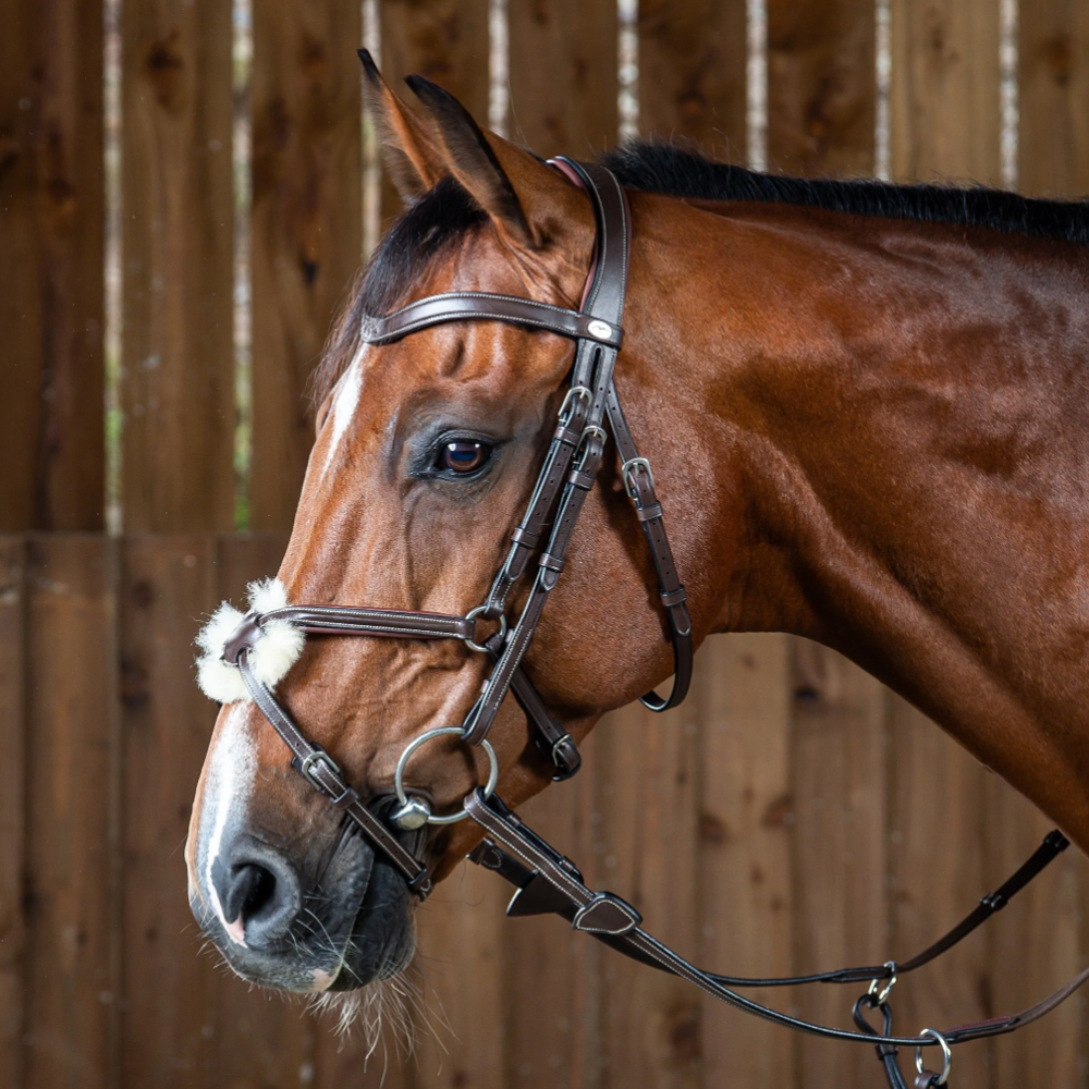 Equestrian Supplies Online Shop -Equestrian Supplies Online Shop 8